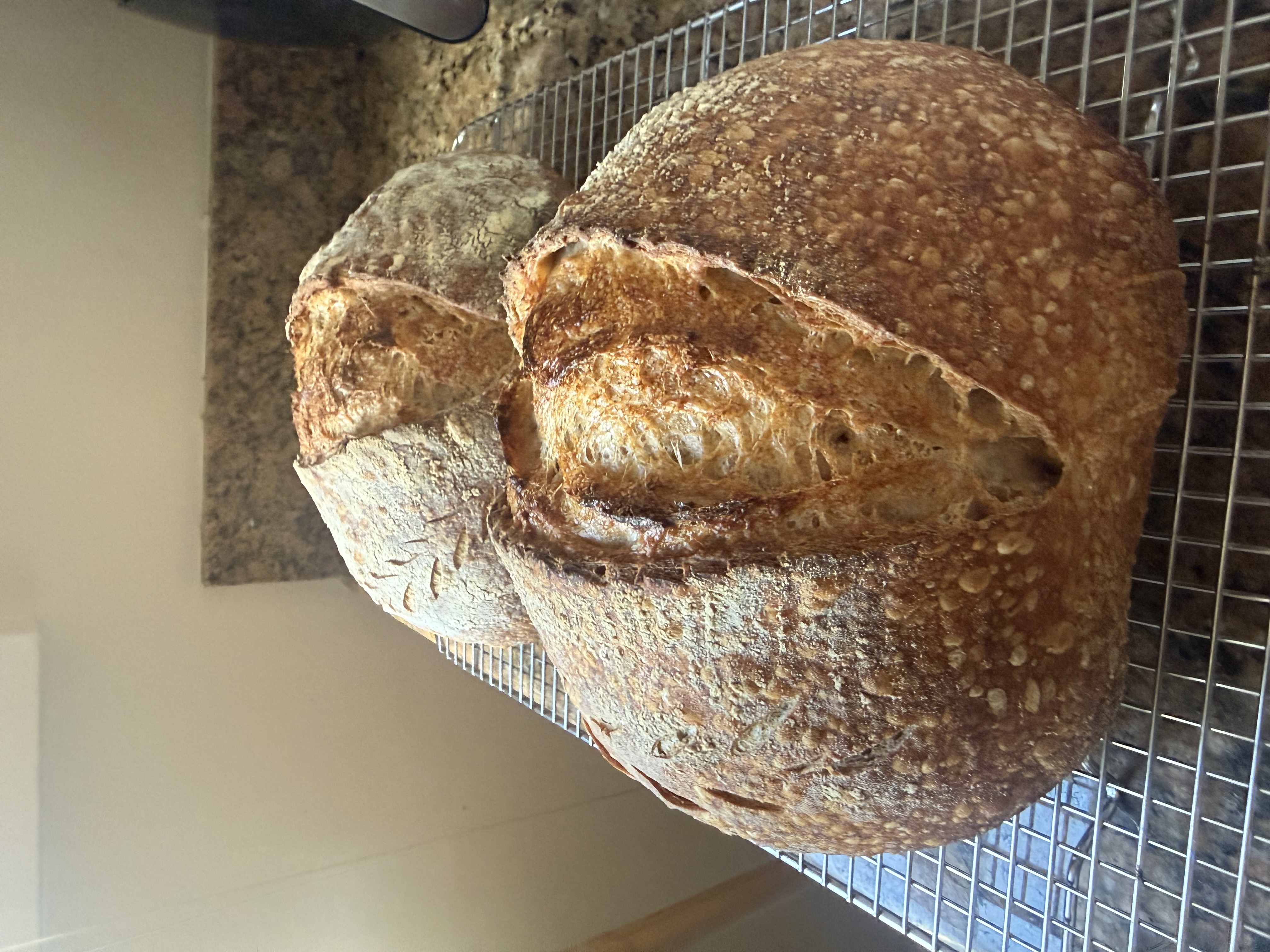 Fresh sourdough loaf